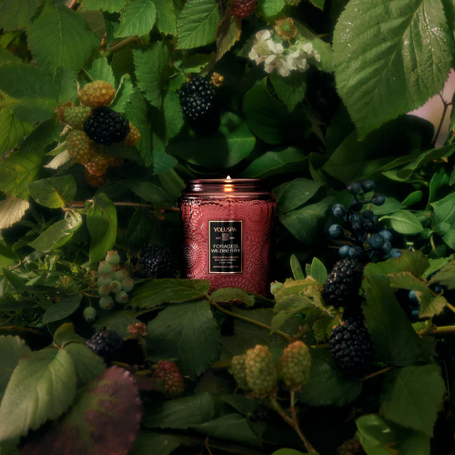 Voluspa Foraged Wildberry Small Embossed Glass Jar Candle